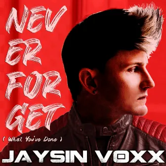 Never Forget (What You've Done) by Jaysin Voxx