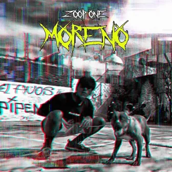 Moreno by Zoop One