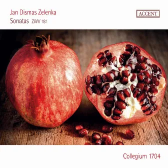 Zelenka: 6 Sonatas, ZWV 181 by Jan Dismas Zelenka