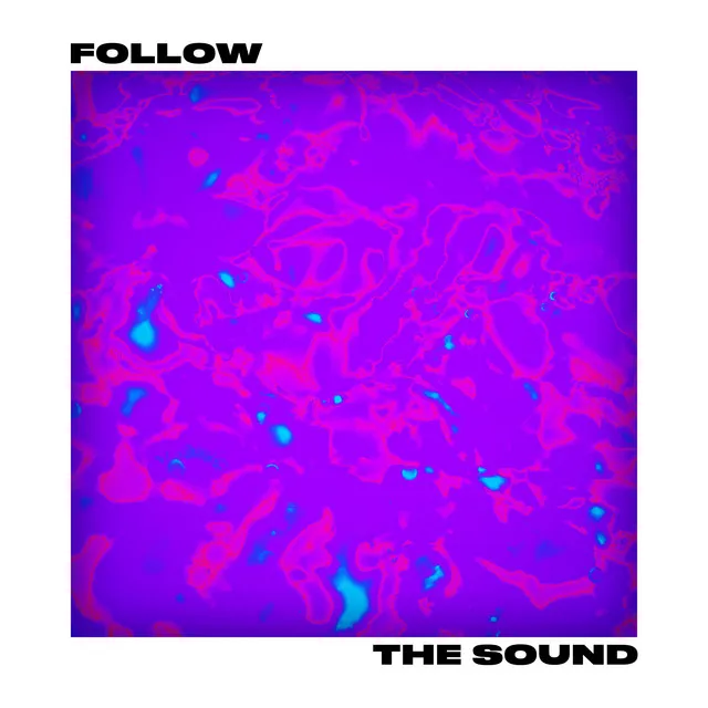 Follow the Sound