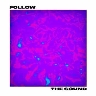 Follow the Sound by David Kitt