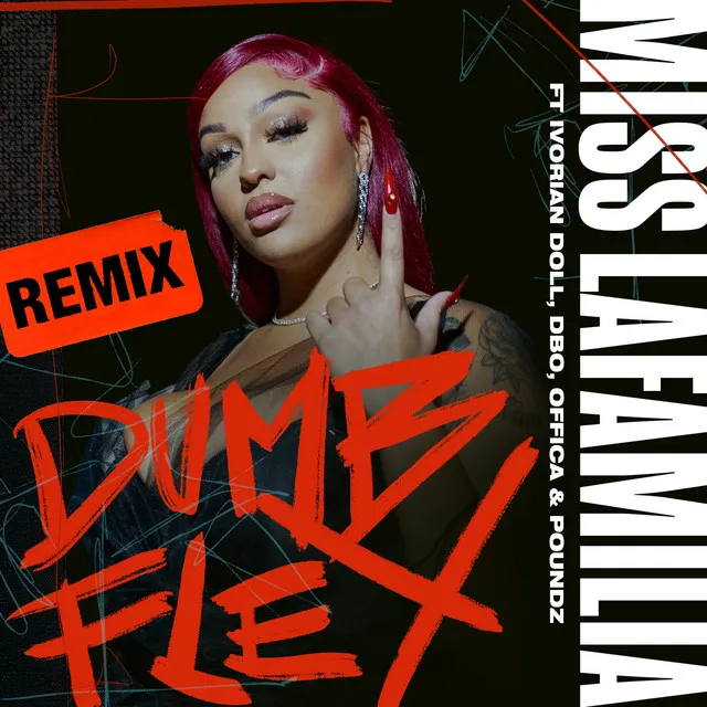 Dumb Flex (Remix) (feat. Ivorian Doll, A9dbo Fundz, Offica & Poundz)