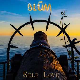 Self Love by BLUM