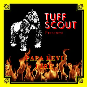 Fire by Papa Levi