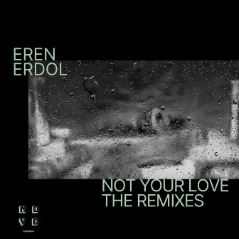 Not Your Love - The Remixes by Eren Erdol