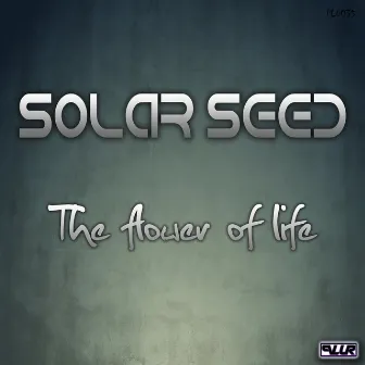 The Flower of Life by Solar Seed