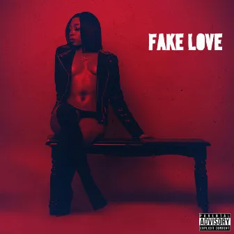 Fake Love by Tiera Santoya