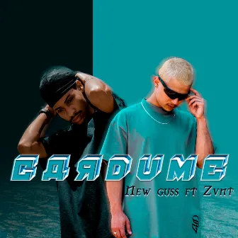 Cardume by New Guss