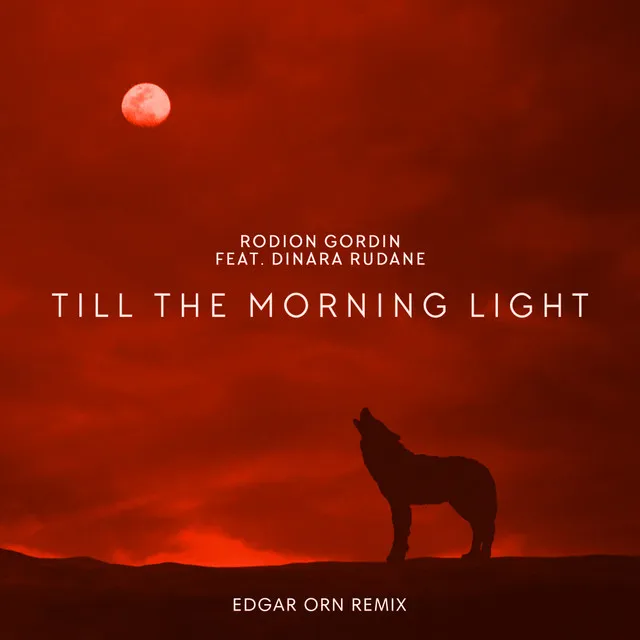 Till The Morning Light - Edgar Orn Remix