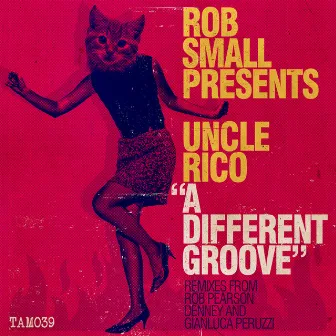 A Different Groove by Rob Small