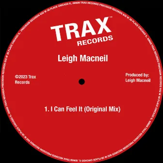 I Can Feel It by Leigh Macneil