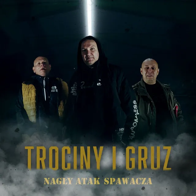 Trociny I Gruz