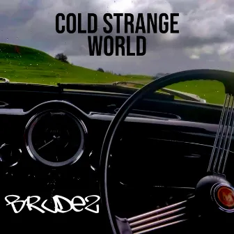 Cold Strange World by Brudez