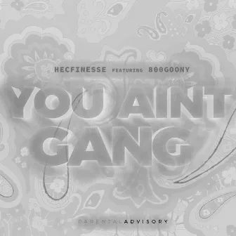 You Ain't Gang by HecFinesse