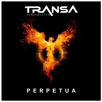 Perpetua by Transa