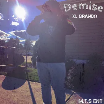 DEMISE by XL Brando