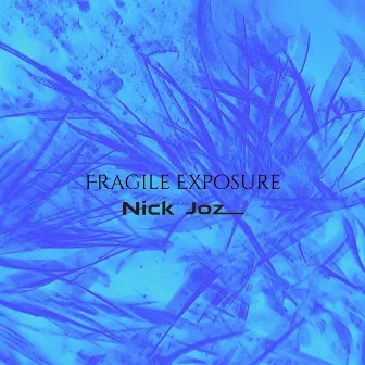 Fragile Exposure by Nick Joz