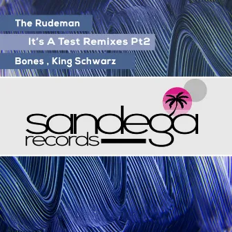 It's a Test Remixes, Pt. 2 by The Rudeman