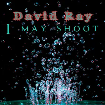 I May Shoot by David Ray