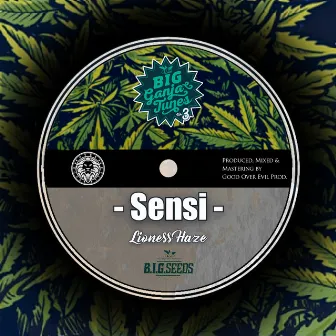 Sensi by Lioness Haze