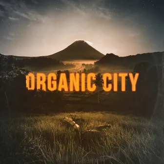 Organic City by Jerry Spoon