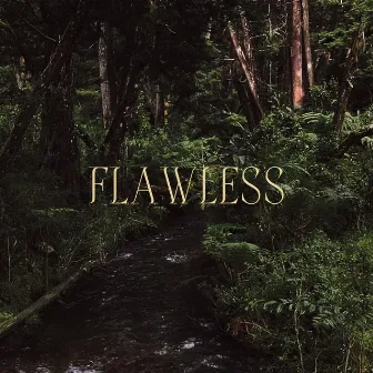 Flawless by Cheche Cole