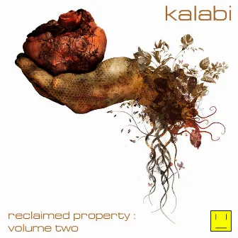 Reclaimed Property Volume 2 by Kalabi