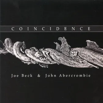 Coincidence by Joe Beck