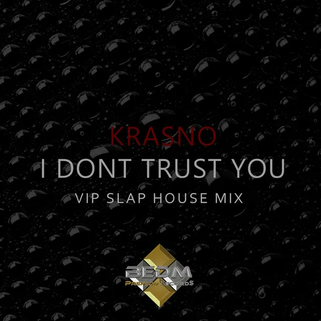 I Don't Trust You - Radio Version