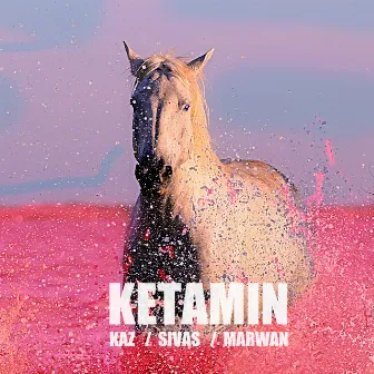 Ketamin (feat. Sivas & Marwan) by Kaz