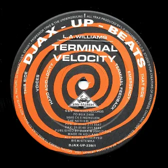 Terminal Velocity by L.A. Williams