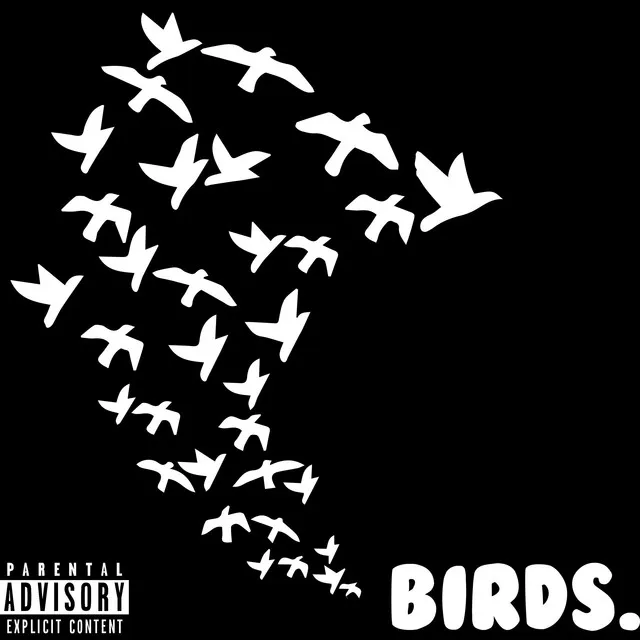 Birds.