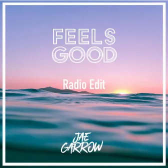 Feels Good (Radio Edit) by Jae Garrow