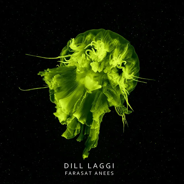 Dill Laggi