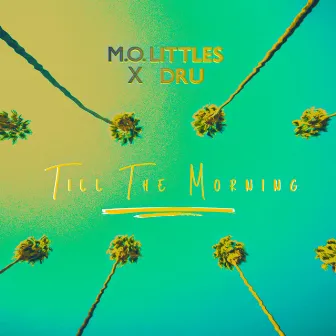 Till the Morning by M.O. Littles