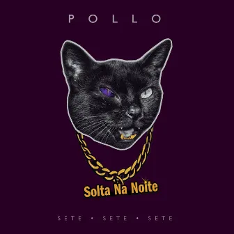 Solta Na Noite by POLLO