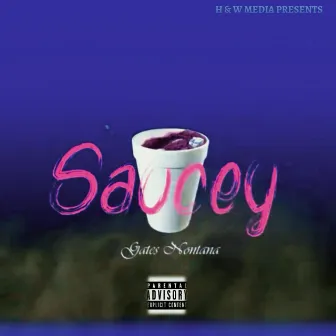 Saucey by Gates Montana