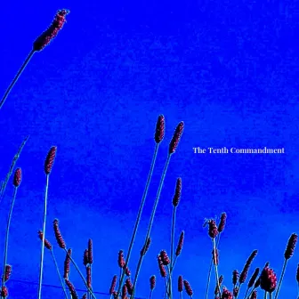 The Tenth Commandment by YL Cootie