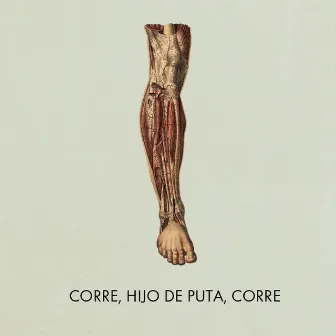 Corre, Hijo de Puta, Corre by Egon Soda