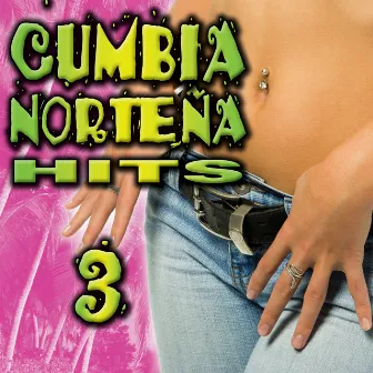 Cumbia Norteña Hits 3 by Cumbia Sabrosa