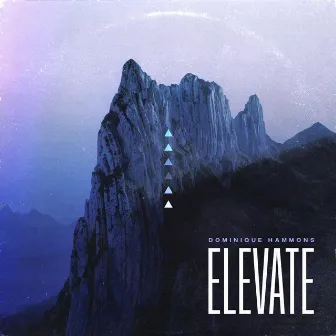 Elevate by Dominique Hammons