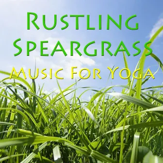 Rustling Speargrass- Music For Yoga by Levantis