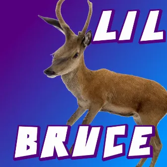 Lil Bruce by Lil Bruce