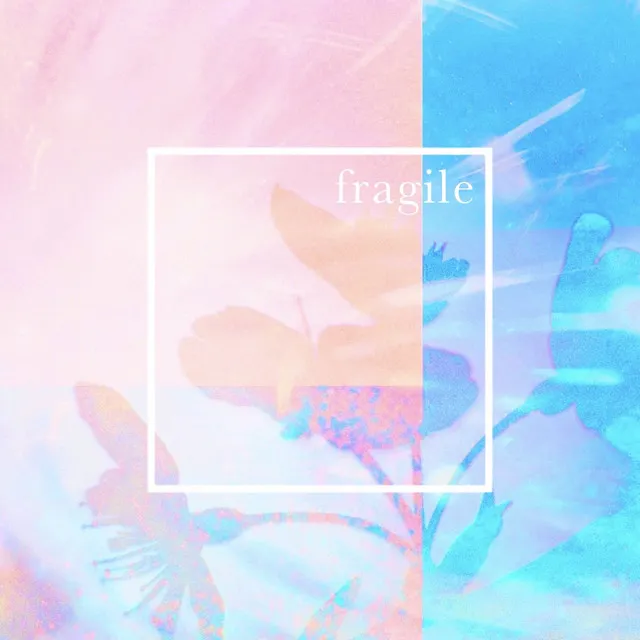 fragile feat. POLY