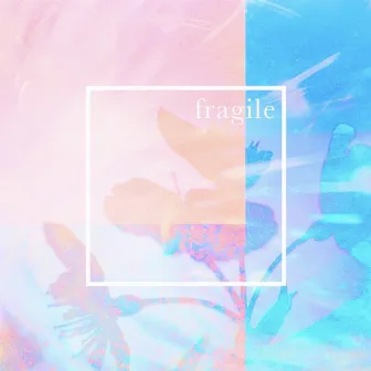 fragile feat. POLY by TERA