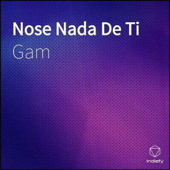 Nose Nada De Ti by Gam