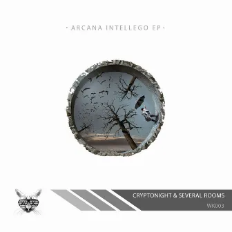 Arcana Intellego by Cryptonight