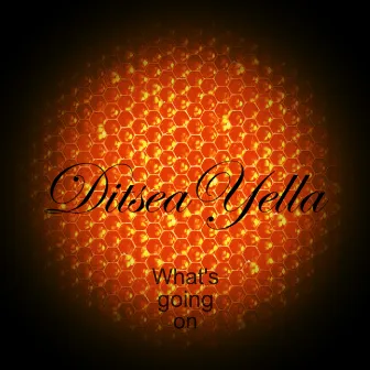 What's going on by Ditsea Yella