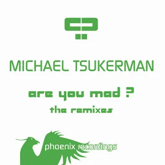 Are You Mad? (The Remixes) by Michael Tsukerman