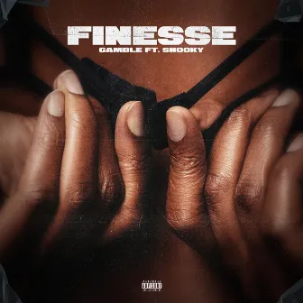 Finesse by Team Gamble